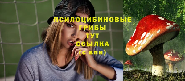 эйфоретик Алзамай