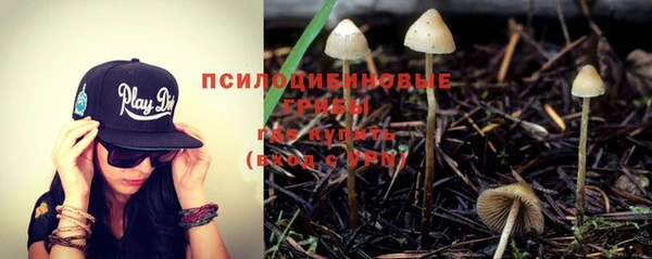 амфетамин Алексин