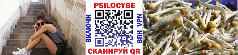 Галлюциногенные грибы ЛСД  кракен как войти  Тейково 