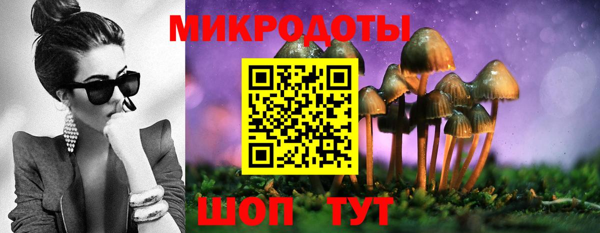 Псилоцибиновые грибы MAGIC MUSHROOMS  Вход с VPN  Тейково  Псилоцибиновые грибы мицелий 